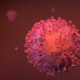 Coronavirus COVID 19 Israeli Authorities Claim They Have Antibody Against Virus