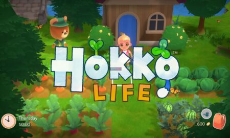 Hokko Life PC Version Full Game Setup Free Download